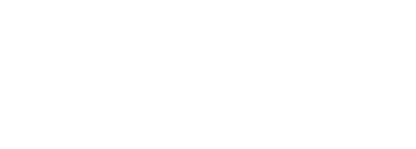 RA IT Support